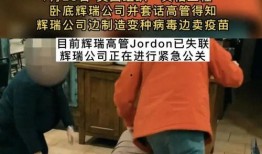 美国辉瑞高管爆料视频,揭秘疫苗研发与市场策略内幕