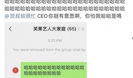 爆料笑果文化段子视频,爆笑瞬间，笑料百出！